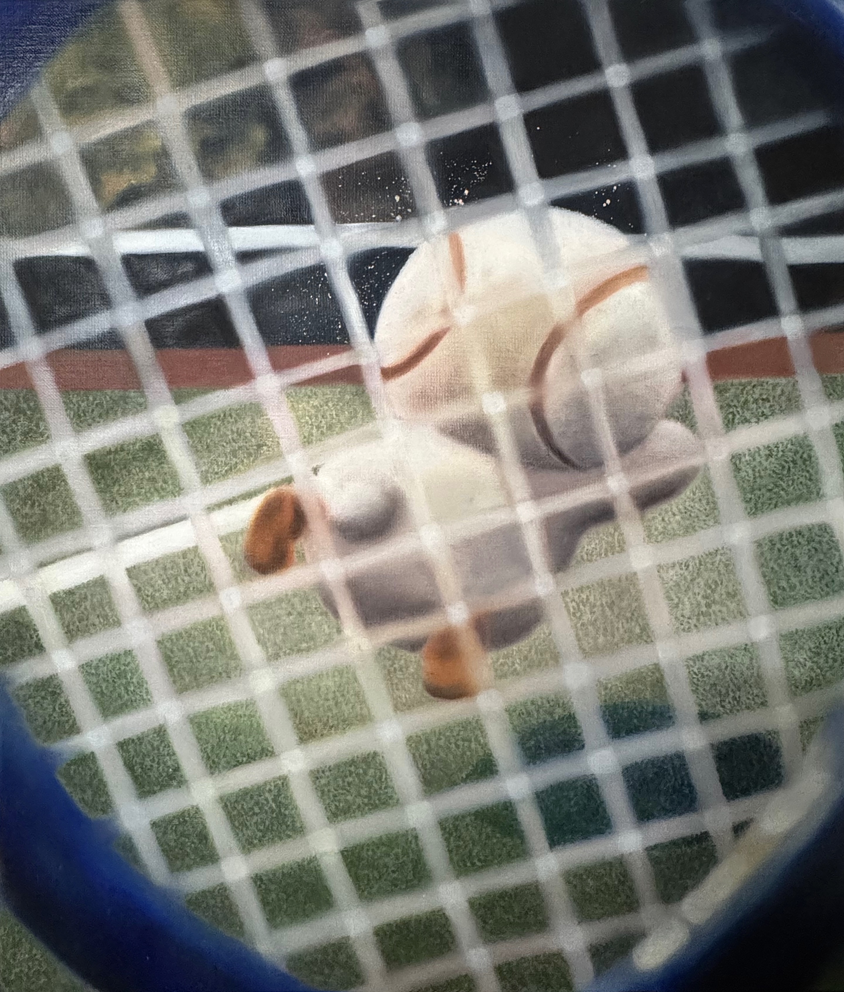 RALLEE에 진심(테니스 : 이형택감독)